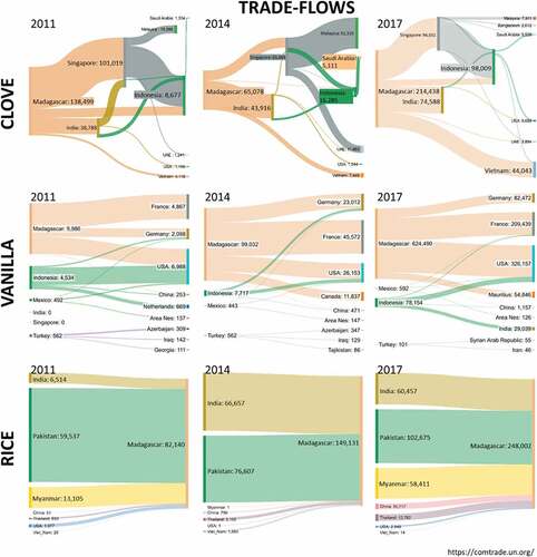 Figure 2. Clove, vanilla, and rice export value in 1000 US Dollars between major market participants in the clove market. Sankey diagram for 2011–2017 Attention: Source node’s colour indicate origin of good and hence, flow direction. Source: Using FAOSTAT (Food and Agriculture Organization of the United Nations, Citation2021, for production quantities) and Trademap (International Trade Centre UNCTAD/WTO, 2021, for export and import values), we assembled time series for production quantities (1961–2018), export and import values for rice, vanilla, and clove (2011–2017). Including the biggest producing and exporting/importing countries worldwide. Results are presented as production quantity-time series and Sankey diagrams (using sankeymatic.Com).