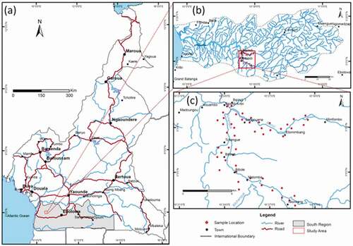 Figure 1. (a) Location map of the study area, Southern Cameroon. (b) Drainage system of the Southern Cameroon. Various streams or tributaries flowing within this basin drain into the Lokoundje River, a major river that drains into the atlantic ocean. The area of study within this basin is the Tchangue-Bikoui drainage system. (c) Sample location map within the Tchangue-Bikoui drainage system. In all 50 samples were collected from active stream sediments.