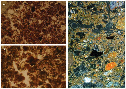 Fig 8 Photomicrographs of the micromorphology samples. (a) Micromorphology sample from G9: compact lower fill is composed of reddish-brown inclusions which could be woody residues. Plane polarised light (PPL), frame width is ∼0.90 mm. (b) High magnification image of A, showing oxidised, humified and pelletised remains of probable wood (of wooden walled mortuary house origin). PPL, frame width is ∼0.47 mm. (c) Micromorphology sample from putative entrance way to G13; compact trampled entrance way soil over original podzol subsoil (Bs–Bs horizon), with typical horizontal fissures and horizontal stones, as well as enigmatic vertically oriented larger stones. Frame width is ∼75 mm. Photographs by Richard Macphail, © UCL.