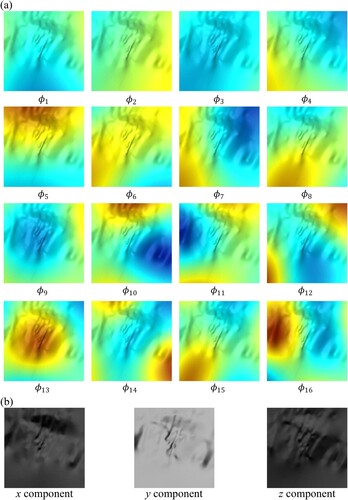 Figure 6. Projection results of the shape descriptors for target voxels: Laplace–Beltrami eigenfunctions (a) and surface normals (b).