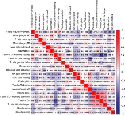 Figure 7 Resulting heat map visualizing the correlation matrix of diverse tumor-infiltrating immune cells subpopulations. Each tile indicates coefficients calculated by Pearson’s correlation test.