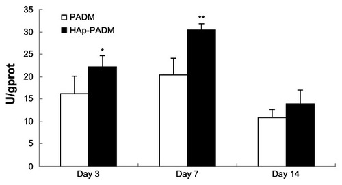 Figure 6 Alkaline phosphatase activity of periodontal ligament stem cells seeded on PADM and HAp-PADM.Notes: Data were normalized for total protein content to account for the effect of the different number of cells on each scaffold. Data represents mean ± standard deviation (n = 5, five replicates per time point for each experimental condition); *P < 0.05; **P < 0.01 (PADM versus HAp-PADM).Abbreviations: HAp-PADM, hydroxyapatite-coated porcine acellular dermal matrix; PADM, porcine acellular dermal matrix.