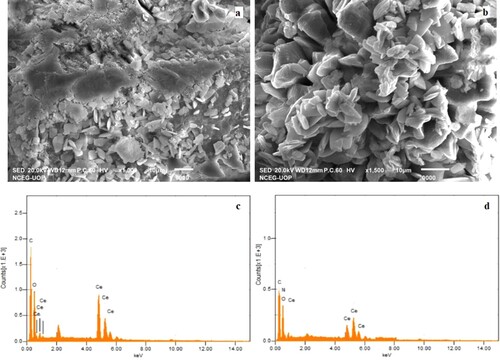 Figure 1. Scanning electron microscopy images of (a) Ce-MOF and (b) Ce-MOF-NH2 and EDS spectrum of (c) Ce-MOF/ NF and (d) Ce-MOF-NH2/ NF.