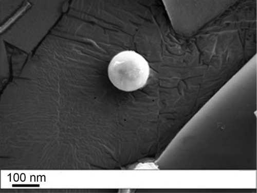 Figure 1 SEM image of optimized FLV-NLCs.Abbreviations: SEM, scanning electron microscope; FLV-NLCs, fluvastatin nanostructured lipid carriers.