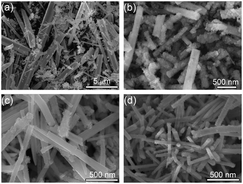 Figure 4. SEM images of CoTe2 products synthesized in the absence of NaOH at Te/Co molar ratio of 2 with (a) 0.0 g, (b) 0.5 g, (c) 3.0 g and (d) 5.0 g of ascorbic acid.