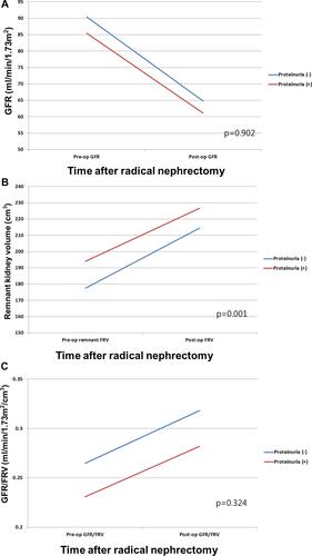 Figure 1 (A) Preoperative GFR and postoperative reduction in GFR according to proteinuria. (B) Preoperative functional renal volume of the remnant kidney and degree of hypertrophy according to proteinuria. (C) Changes in preoperative and 1-year postoperative GFR/FRV according to proteinuria.