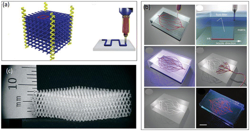 Figure 3. Fabrication of scaffolds. (a) 3D printing using nozzles (Therriault et al., Citation2003); (b) 3D printing of a biomimicking pattern (Wu et al., Citation2011); (c) self-propagated photopolymer (Jacobsen et al., Citation2007).
