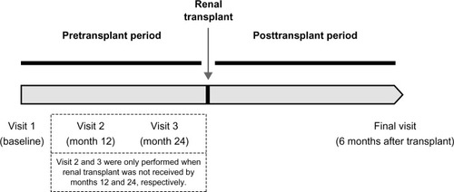 Figure 1 Overall study design.