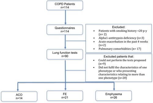 Figure 1 Recruitment flowchart.