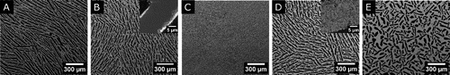 Figure 1. SEM micrographs obtained under the conditions specified in Table 1. (A) S1, (B) S2, (C), S3, (D) S4, and (E) S5.