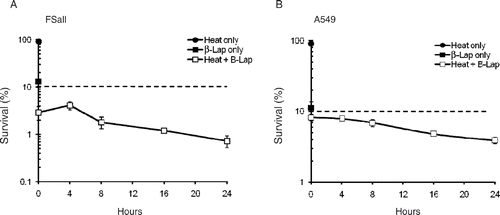 Figure 3. Changes in β-lap sensitivity after heating. Clonogenic survivals of FSaII cells (A) and A549 cells (B) were determined after the cells were heated at 42°C for 1 h and then treated with 5 µM β-lap for 4 h at various times after heating. The effects of heating alone or β-lap treatment alone are also shown. The dotted lines indicate the expected percentage cell survival if the combined effect of heating and β-lap treatment was additive. Averages of 6–7 experiments with duplicate cultures and 1 SE are shown.