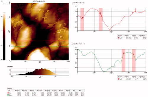Figure 5. Atomic force microscopyanalysis of gold nanoparticles synthesised from Marsdenia tenacissima.