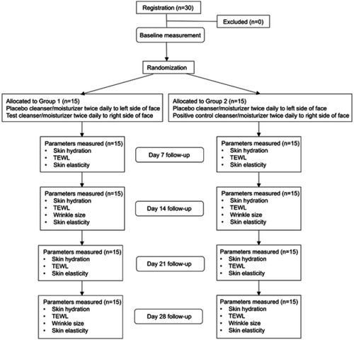 Figure 1 CONSORT flow chart illustrating the flow of subjects through the study.