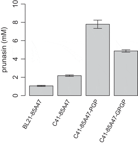 Figure 5. Microbial production of prunasin by E. coli cells.E. coli cells harboring the UGT85A47 expression plasmid, with or without the UDP-glucose biosynthetic gene expression plasmid, were incubated with racemic mandelonitrile and glucose.The error bars represent the standard deviation of four replicates.