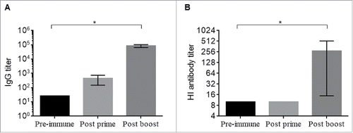 Figure 5. Immunogenicity of purified HA1-MY. (A) Anti-H5 IgG responses and (B) HI antibody responses against A/Vietnam/1194/04 (H5N1, clade 1). *p < 0.05 by Kruskal-Wallis test using GraphPad Prism ver. 6.02.
