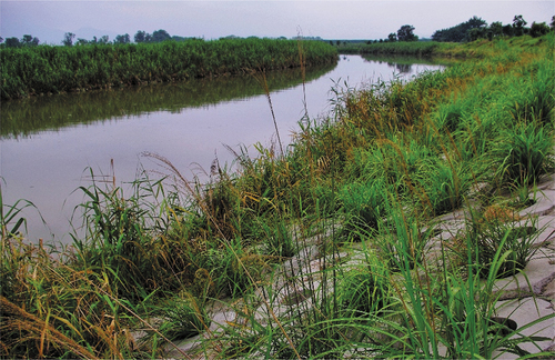 Photo 5. The hexahedrons provide a habitat for animals and plants. Photographer: Hua-Lin Xu.