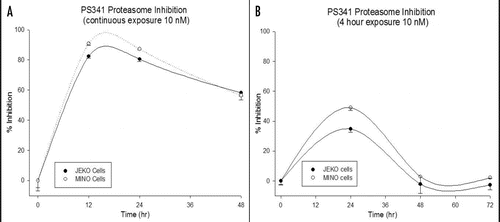 Figure 1 Proteosome inhibition. A spectrofluorometric assay was used to assess the proteasome activity in both Mino and Jeko cell lines treated with either (A) continuous or (B) 4 hour exposure to bortezomib (10 nM).