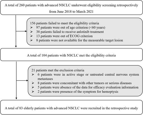 Figure 1 Flow chart of the retrospective study of anlotinib monotherapy as third-line therapy for elderly patients with non-small cell lung cancer.