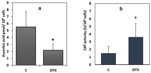 Figure 7. Levels of ascorbic acid, and catalase activity in DTX-treated (1.25 nM, 6 h) and control cells. Data were means ± standard deviations of nine samples. *P < 0.05 compared to control values (Student’s test). Legend: C, control (untreated) cells; DTX docetaxel.