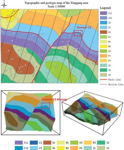 Figure 17. Serial cross sections are generated by a larger spacing and then generate 3D geological model.