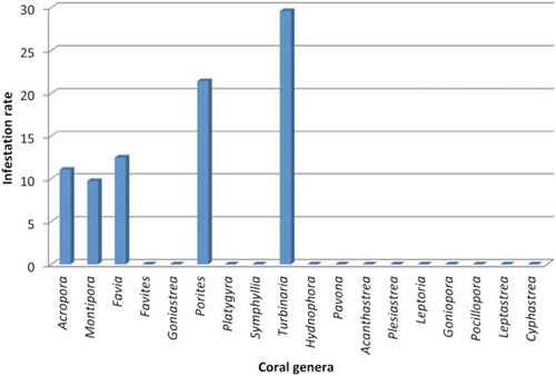 Figure 4. Prevalence of Clathria (Microciona) aceratoobtusa invasion on coral colonies