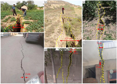 Figure 4. (a) Farmland damage caused by shuanghuaishu ground fissure, (b) road damage caused by Jinghe fault, (c) farmland damage caused by Kouzhen-Guanshan fault, (d) wall cracks caused by ground fissures in Laonan village, Fuping county, (e) farmland damage caused by Wuxing village ground fissures, Qian county and (f) house cracks caused by ground fissures in Tingzi village, Fuping county.