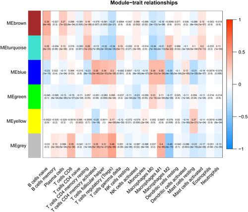 Figure 3 Screening of modules that were related to sample traits. This picture is a heat map showing the correlation between the characteristic genes of the module and immune cells.