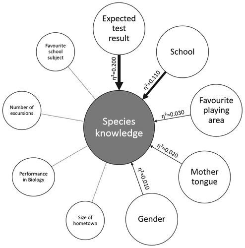 Figure 2. Summary of factors influencing species knowledge with their effect sizes. Non-significant factors are marked with dotted lines and smaller font size.