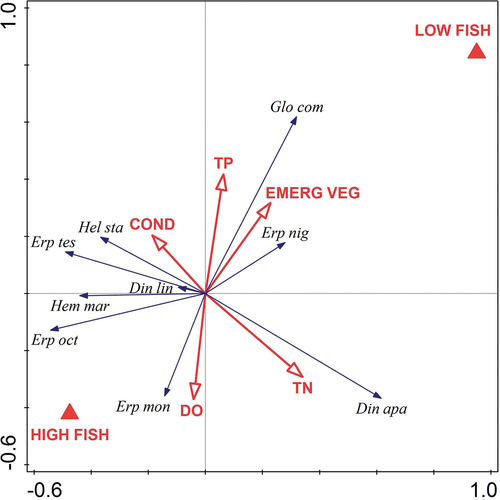Figure 3. Ordination biplot from redundancy analysis showing relationships between leech species and environmental variables. Leech abundance estimates were based on bottom trap catches. Species abbreviations are based on the first three letters of genus and species names (see Table I). Variable abbreviations: low-fish ponds (LOW FISH), high-fish ponds (HIGH FISH), dissolved oxygen (DO), conductivity (COND), total nitrogen concentration (TN), total phosphorus concentration (TP), percentage share of emergent vegetation (EMERG VEG).