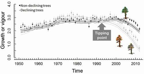 Figure 3. Early-warning signals vigour of drought-triggered mortality appear to be species specific and reflect how different tree species cope with drought stress. The plot shows the divergence in growth between non-declining and declining Abies alba trees about 20 years before the onset of dieback in 2012. Modified from Camarero et al. (Citation2015)