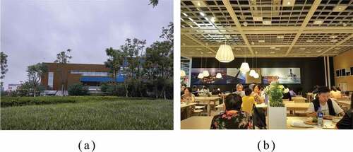 Figure 3. (a):The exterior environment of mall (b): The interior environment of mall.