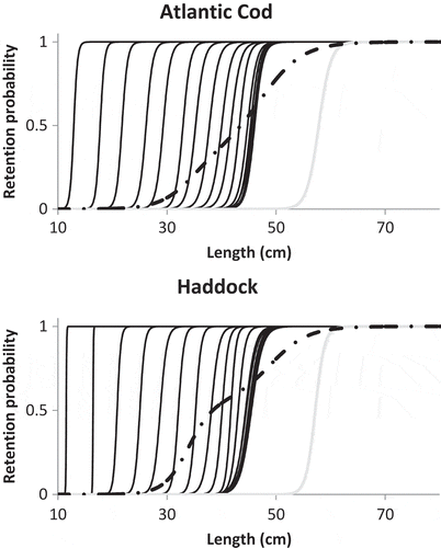 Figure 4. Experimental size selection curves (dotted–dashed lines) and FISHSELECT predicted curves for different mesh states; black lines depict stiff mesh states with angles of the opening ranging from 15 to 90 degrees (left to right) and a soft mesh state (gray lines).