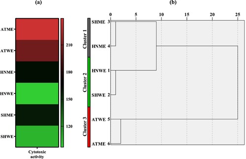 Figure 6. (a) Heatmap based on IC50 values for cytotoxic activities of plant extracts and (b) dendrogram (High and low activities were represented by red and green colour, respectively). ATME: Methanol extract of A. tokatensis; ATWE: Water extract of A. tokatensis; HNME: Methanol extract of H. noeanum; HNWE: Water extract of H. noeanum; SHME: Methanol extract of S. huber-morathii; SHWE: Water extract of S. huber-morathii.