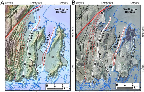 Figure 15. Major crustal faults in the Wellington region modified from Begg and Mazengarb (Citation1996), overlain onto topography and bathymetry (A) and ortho-photography (courtesy of Land Information New Zealand) (B). Red solid lines denote faults that are demonstrably active; red dashed faults were considered by Begg and Mazengarb (Citation1996) to likely be active. Other faults with uncertain activity are shown in black. Bold white lines indicate the inferred crustal extents of the active Aotea and Evans Bay faults, including their possible southern onshore extensions. The inferred southern extension of the Aotea Fault to the south coast at Lyall Bay (LB) (dashed white line) is from Begg and Mazengarb (Citation1996). A possible alternative extension south to Island Bay (IB) is proposed here. The inferred southern extension of the Evans Bay Fault onshore is from Stevens (Citation1990), Lewis and Carter (Citation1976), Huber (Citation1992), Pillans and Huber (Citation1995) and Begg and Mazengarb (Citation1996). Geographic locations: LH, Lambton Harbour; OB, Oriental Bay; EB, Evans Bay; M, Miramar; N, Newtown; MA, Mount Albert; B, Berhampore; R, Rongotai.