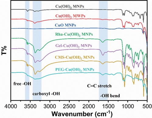 Figure 3. FTIR characterization of Cu(OH)2 NPs coated with different surfactants.