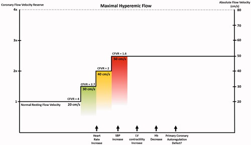 Figure 1. Resting flow and flow reserve. Even with normal coronary arteries and preserved maximal vasodilatory capacity, coronary flow reserve (a recognised biomarker of poor prognosis) can be reduced for increased resting flow, present when one or more determinants of resting myocardial oxygen consumption are increased or when myocardial oxygen supply decreases for anaemia or hypoxia.