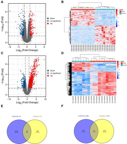 Figure 3 The screening of DEMs in DCM. (A) The volcano plot was drawn to show the 209 up-regulated and 265 downregulated mRNAs in GSE29819 (|log2FC| > 1, adjusted P-value < 0.05). (B) The heatmap shows the expression level of DEMs in GSE29819. (C) The volcano plot was drawn to show the 1059 up-regulated and 398 downregulated mRNAs in GSE84796 (|log2FC| > 1, adjusted P-value < 0.05). (D) The heatmap shows the expression level of DEMs in GSE84796. (E and F) The Venn diagrams were drawn to show the overlapping up-/down-regulated mRNAs between GSE29819 and GSE84796.