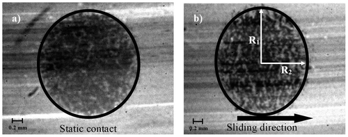 2 Photographs of the contact area between an elastomeric spherical indenter and a glass disc, a in static contact, b in sliding contact at 118 mm/s