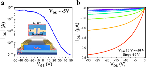 Figure 4. (a) Transfer curve of the fabricated Te-based TFT along with a schematic and real image of the TFT. (b) Output curve of the proposed Te-based TFT at VGS ranges from 10 V to −50 V with a step of −10 V.