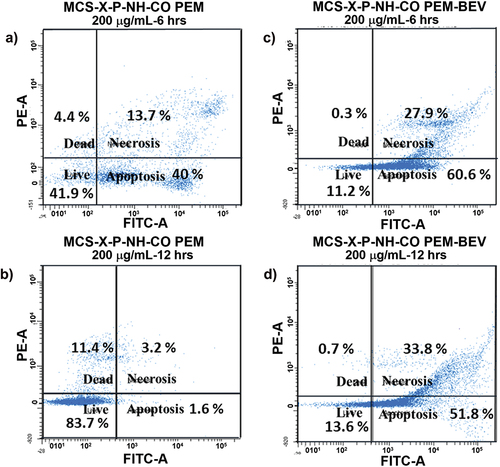 Figure 9. Pemetrexed-induced apoptosis in A549 cells treated with 200 µg/mL of PEM@MSN-NHCO, a) 6 h; b) 12 h; and 200 µg/mL BEV-PEM@MSN c) 6 h; d) 12 h; A549 cells were stained with FITC-annexin/PI combination and analysed using 488 nm excitation with 530/30 nm and 575/24 nm bandpass filters at 100 μL min − 1 collection rate.