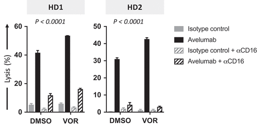 Figure 3. Avelumab-mediated lysis of carcinoma cells is decreased by CD16 neutralization. NCI-H460 lung carcinoma cells were exposed to vorinostat or DMSO, as described in Materials and Methods, prior to being used as targets for NK cell lysis (4 h) in the presence or absence of avelumab or isotype control (2 ng/mL). Where applicable, NK cells were pretreated for 2 h with anti-CD16 blocking antibody (12 µg/mL) prior to being used as effectors. Purified NK cells from 2 healthy donors were used as effectors at an effector:target ratio of 30:1. Results are presented as mean ± S.E.M. from 3 replicate wells, and are representative of 2–4 independent experiments. P values denote statistical significance relative to DMSO controls (2-way ANOVA). HD, healthy donor