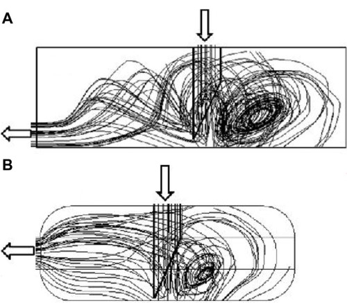 Figure 5 Representation of the lines of flow in the median plane of symmetry.