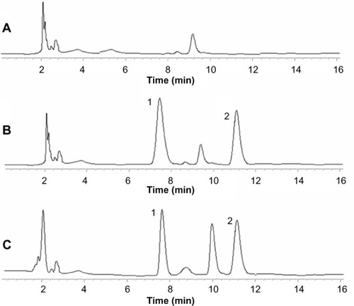 Figure 4 High performance lipid chromatograms of (A) blank plasma; (B) blank plasma spiked with EDA and honokiol, the internal standard; and (C) a sample obtained from rats given NEEPN orally.Note: Chromatogram peaks labeled (1) are EDA, and (2) honokiol (internal standard).Abbreviations: EDA, evodiamine; NEEPN, a water-in-oil nanoemulsive system embedding an evodiamine–phospholipid nanocomplex; min, minutes.