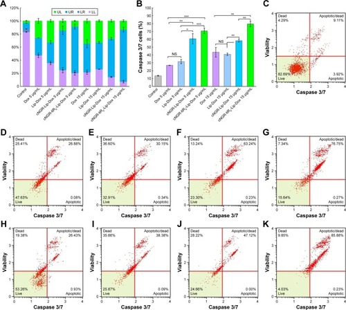 Figure 10 (A) Caspase 3/7-induced cell-apoptosis evaluation of various Dox formulations with various Dox concentrations against HT1080 cells. (B) Caspase 3/7 activation of HT1080 cells for each group. (C–K) Representative caspase 3/7-induced cell-apoptosis detected by flow cytometry. The untreated group was used as the control. Cells were treated with Dox in solution or in drug-loaded liposomes containing total Dox concentrations of 5 µg/mL or 15 µg/mL for 24 hours. (C) Control; (D) Dox (5 µg/mL); (E) Lip-Dox (5 µg/mL); (F) cNGR-Lip-Dox (5 µg/mL); (G) cNGR-tiR9-Lip-Dox (5 µg/mL); (H) Dox (15 µg/mL); (I) Lip-Dox (15 µg/mL); (J) cNGR-Lip-Dox (15 µg/mL); (K) cNGR-tiR9-Lip-Dox (15 µg/mL). Data shown are means ± SEM (n=3). *P<0.05; **P<0.01; ***P<0.001.Abbreviations: cNGR, cyclic asparagine–glycine–arginine; Dox, doxorubicin; Lip, liposomes; LL, live cells; LR, early-apoptosis cells; NS, not significant; tiR9, tandem-insert nona-arginine; UL, necrotic cells; UR, late-apoptosis cells.