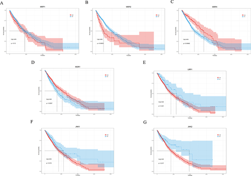 Figure 4 Survival analysis of JNK1, JNK2, MRP1, MRP2, MRP4, P-gp and LRP1 in NSCLC in TCGA database. Survival curves comparing the high expression group and low expression group of each protein. (A) MRP1, (B) MRP2, (C) MRP4, (D) P-gp (MDR1), (E) LRP1, (F) JNK1, (G) JNK2.