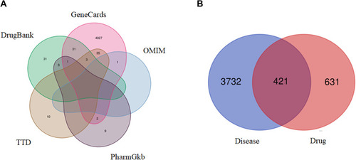 Figure 5 Venn diagrams showing UC targets obtained from 5 databases (A) and the intersection of identified target genes of active compounds and UC (B), respectively.