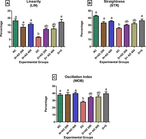 Figure 8 Effect of AD administration on sperm kinematics; (A) LIN, (B) STR and (C) WOB of spermatozoa in normal and diabetic rats. Bars are indicative of mean values ± SEM of group values. Bars with different letters are significantly (p<0.05) different from each other.