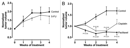 Figure 1. Antiproliferative effects of cytostatics. Tumor volumes were normalized to each individual mouse and are reported relatively to initial tumor volume set to 1. (A) 5-FU vs control. Data are expressed as mean ± SEM for n = 9–10. Statistical significance was evaluated using non-parametric Mann–Whitney test comparing tumor volumes at respective time points. (B) Paclitaxel or cisplatin vs control. Data are expressed as mean ± SEM for n = 6–13. Statistical significance was evaluated by non-parametric ANOVA with Kruskal–Wallis post-hoc test comparing tumor volumes at respective time points.