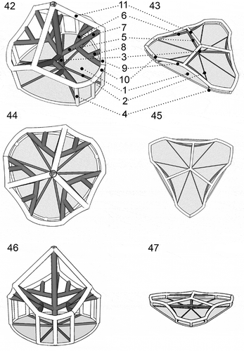 Figs 42–47. Heterocapsa claromecoensis sp. nov. Diagrams showing the 3-D structure of the high and flat body scales. Figs 42, 44, 46. High scale in different positions. Figs 43, 45, 47. Flat scale in the same positions as corresponding high scale. Figs 42, 43. Scales in lateral position showing details of their structure: 1. basal plate; 2. radial ridges (six); 3. central spine (one); 4. peripheral uprights (nine); 5. intermediate bars (three), which each furcate into two lateral bars (6) and one central bar (7); 8. small bar joining each lateral bar (6) with the corresponding longer peripheral bar (9) (six); 10. shorter peripheral bars (six); 11. upper bars (three)