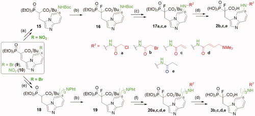Scheme 2. Strategies used for the synthesis of α-phosphonocarboxylates 2–3. Reagents and conditions: (a) (I) 8, H2, Pd/C, (II) Boc2O, DCM, (III) NaBH4, NiCl2·6H2O, MeOH; (b) NaH, NFSI, THF; (c) for 2 b,c: (I) 3 M HCl/EtOH, (II) acyl halide, DCM; (d) (I) bromotrimethylsilane, TEA, acetonitrile, (II) EtOH, (III) TFA; (e) (I) 7, 2-allylisoindoline-1,3-dione, Pd(AcO)2, tri-o-tolylphosphine, DIPEA, propionitrile, microwave irradiation, (II) H2, Pd/C, (III) NaBH4, NiCl2·6H2O, MeOH; (f) (I) hydrazine hydrate, MeOH; (II) acyl halide or carboxylic acid with coupling agent in DCM or DMF; For details of synthesis of 2a,d, 3a see Schemes S7, S9.